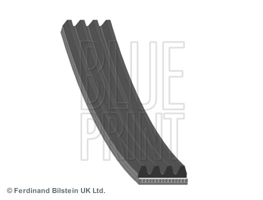 BLUE PRINT Moniurahihna AD04R1015